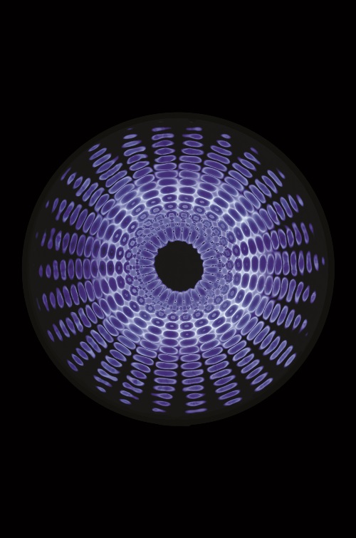 Preview: Schwingender Tierkreis